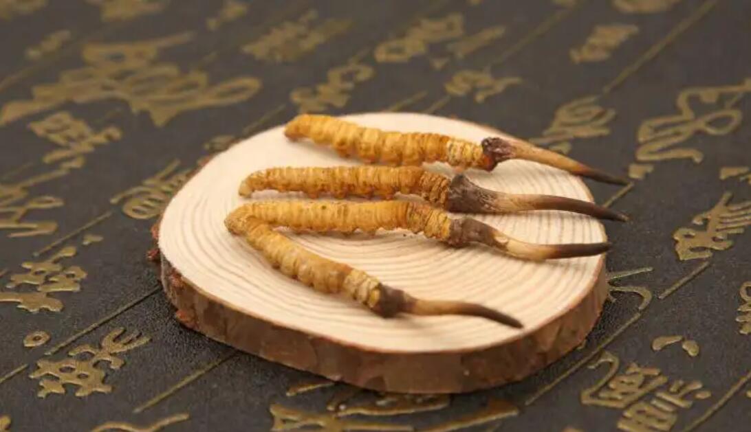 我在西藏那曲挖蟲草：1根只要10塊錢？