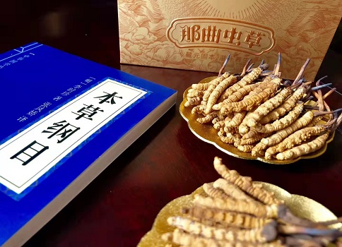 冬蟲夏草真就那么好嗎？它的主要功能是什么呀