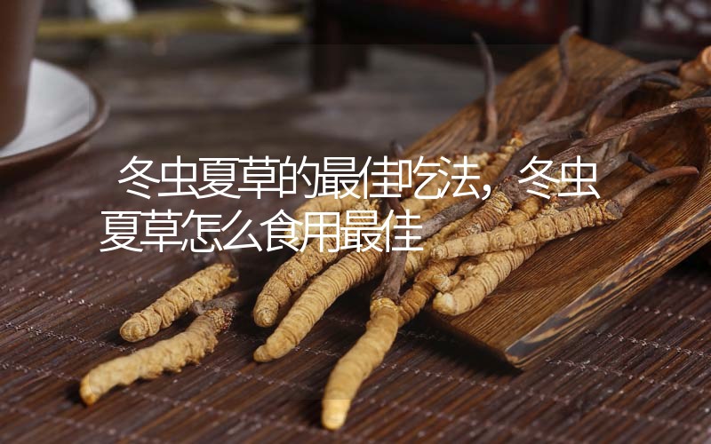 冬蟲夏草的最佳吃法，冬蟲夏草怎么食用最佳