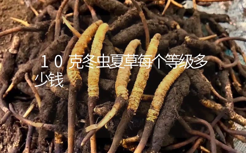 10克冬蟲夏草每個等級多少錢？