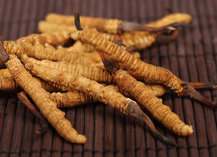 什么樣的冬蟲夏草算是優(yōu)質的？