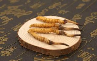 冬蟲(chóng)夏草有保質(zhì)期嗎？
