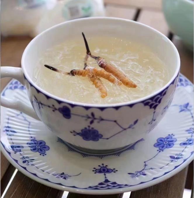 養(yǎng)生小竅門：冬蟲夏草燉什么好喝？