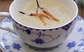冬蟲夏草燉燕窩怎么做？