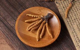 冬蟲(chóng)夏草可以和蘑菇一起吃嗎？