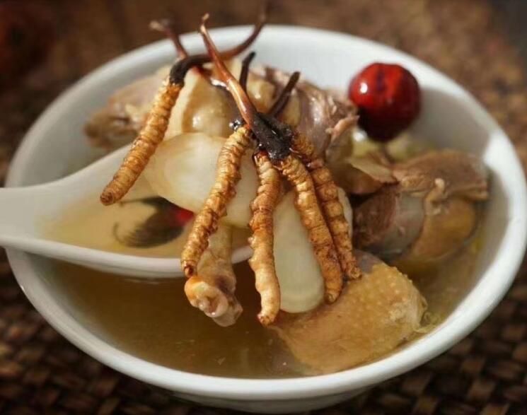 冬蟲夏草可以飯后吃嗎？