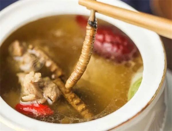 冬蟲夏草能吃嗎？冬蟲夏草可以怎么吃