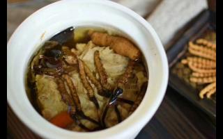冬蟲夏草怎么食用？解鎖滋補(bǔ)養(yǎng)生的正確打開方式