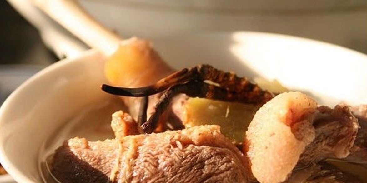 冬蟲(chóng)夏草怎么吃?多種食用方法全解析