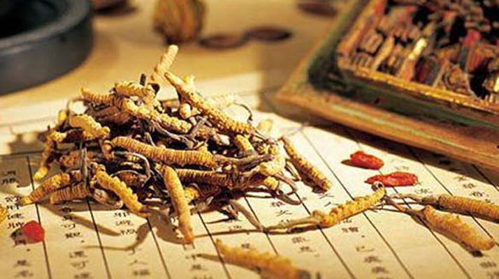 同仁堂健康冬蟲夏草：傳承品質(zhì)，饋贈健康