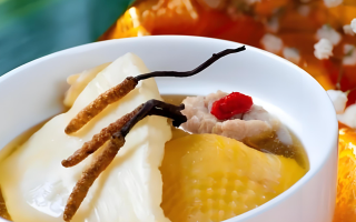 冬蟲夏草每天什么時(shí)候吃最好？一文詳解最佳食用時(shí)間