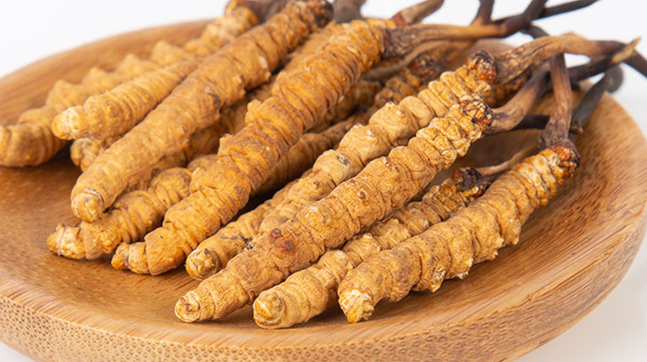 冬蟲(chóng)夏草產(chǎn)品多少錢