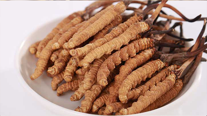 冬蟲夏草燉水鴨，搭配這些食材更滋補(bǔ)