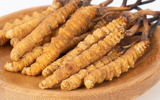 冬蟲夏草，真有那么大效果？