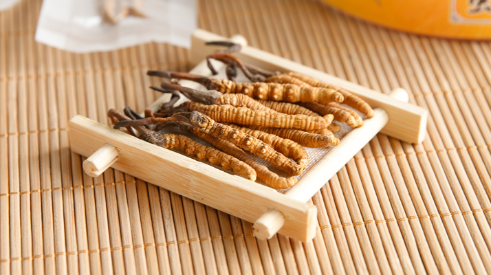這些藥材形似冬蟲夏草,辨別要點(diǎn)需牢記