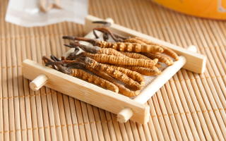 這些藥材形似冬蟲夏草，辨別要點(diǎn)需牢記
