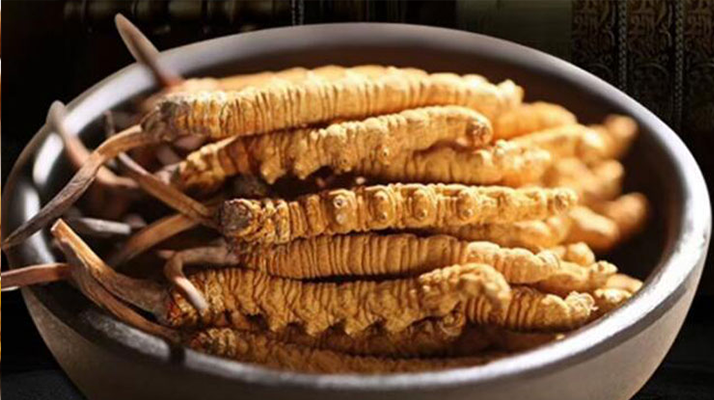 冬蟲夏草效果好不好用？科學(xué)與實(shí)踐視角下的全面解析