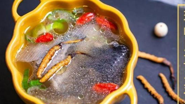 野生冬蟲夏草：副作用風(fēng)險需理性看待