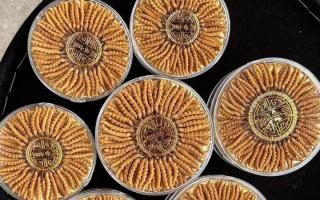 什么白酒適合泡冬蟲夏草？4 大標準 + 泡制指南