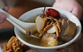 冬蟲夏草和什么一起燉可以治咳嗽？