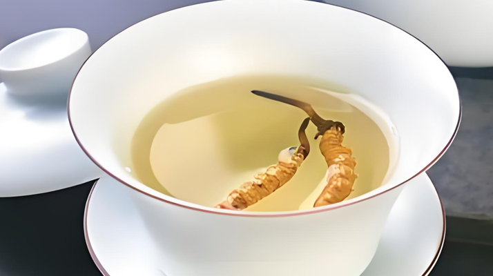 鮮冬蟲夏草可以煮水喝嗎？有什么功效和作用？